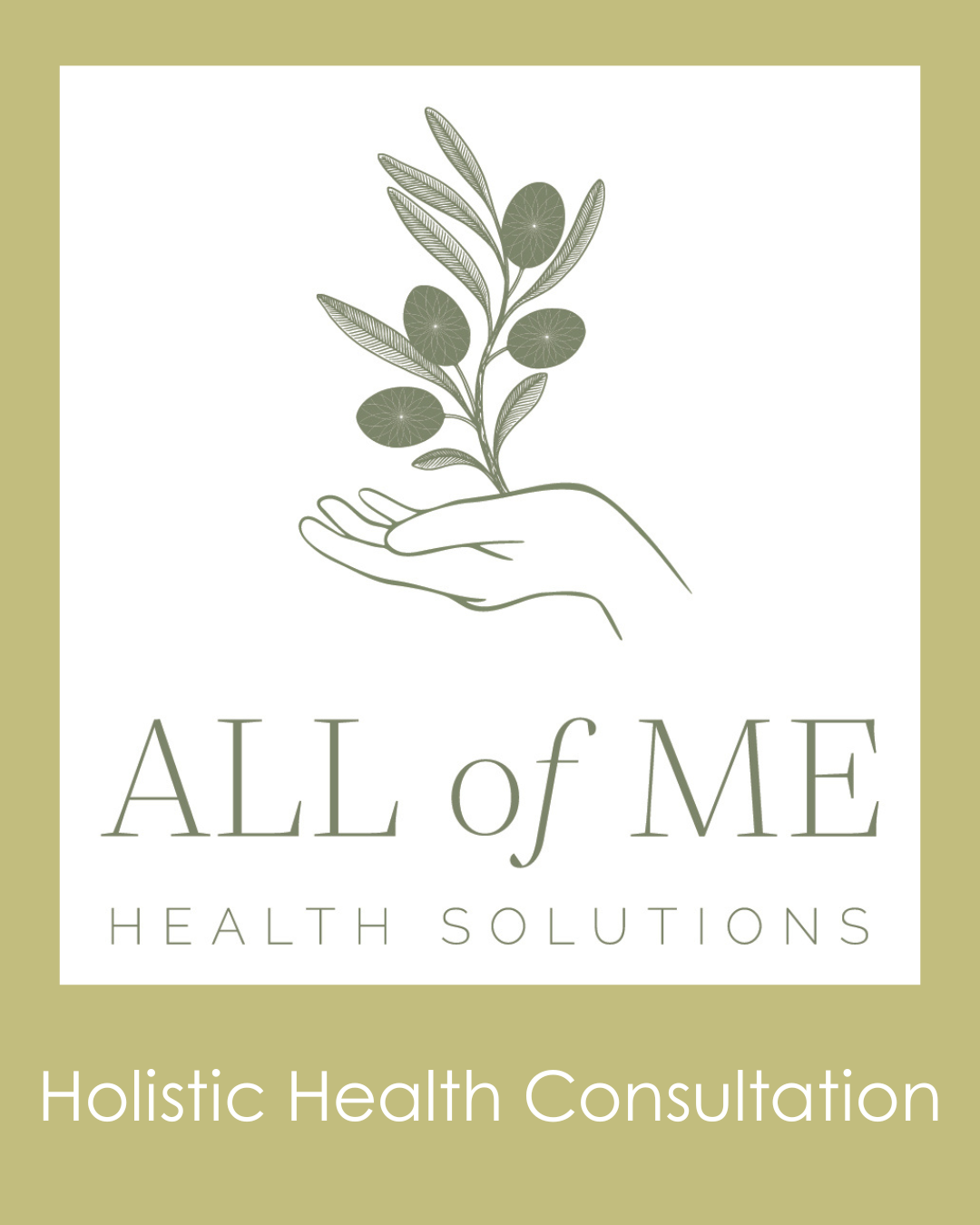 Holistic Health Consultation - Comprehensive Wellness Plan