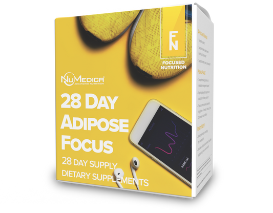 28-Day Adipose Focus